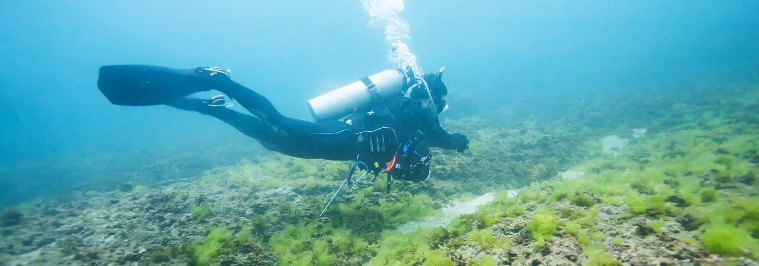 banner-top--cruise-shore-excursions-worth-every-penny-cruise-1